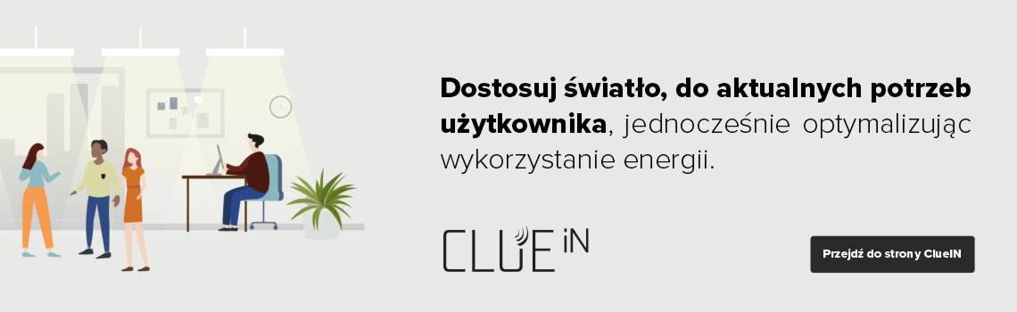 ash baner clue